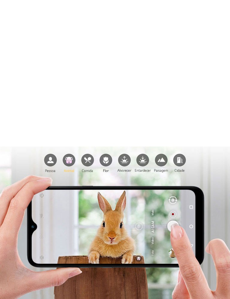 Tire as melhores fotos com a Inteligência Artificiall Tire as melhores fotos com a Inteligência Artificial