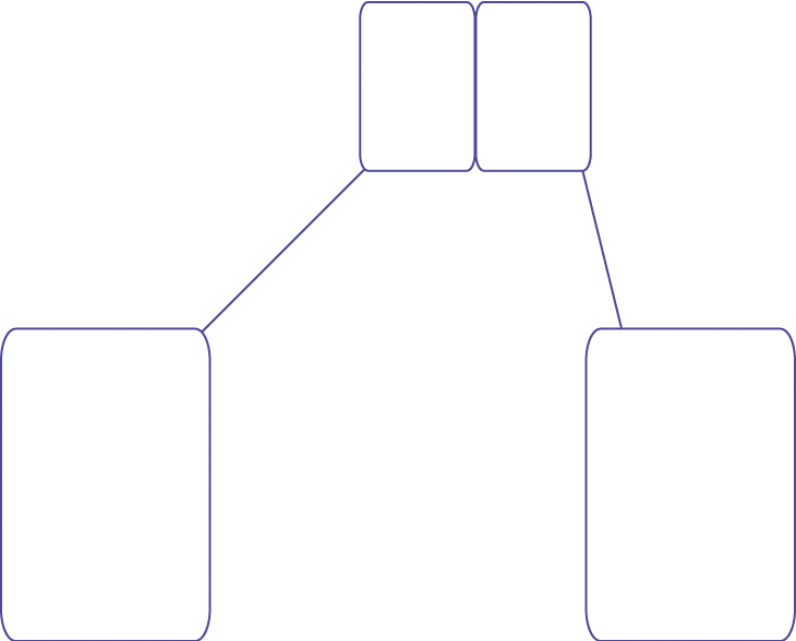seta