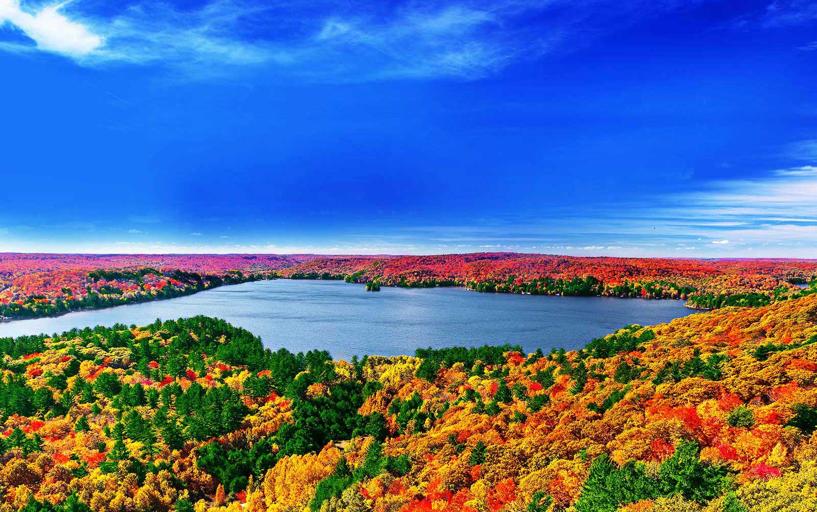 Processador Quad Core A origem da imagem 4K