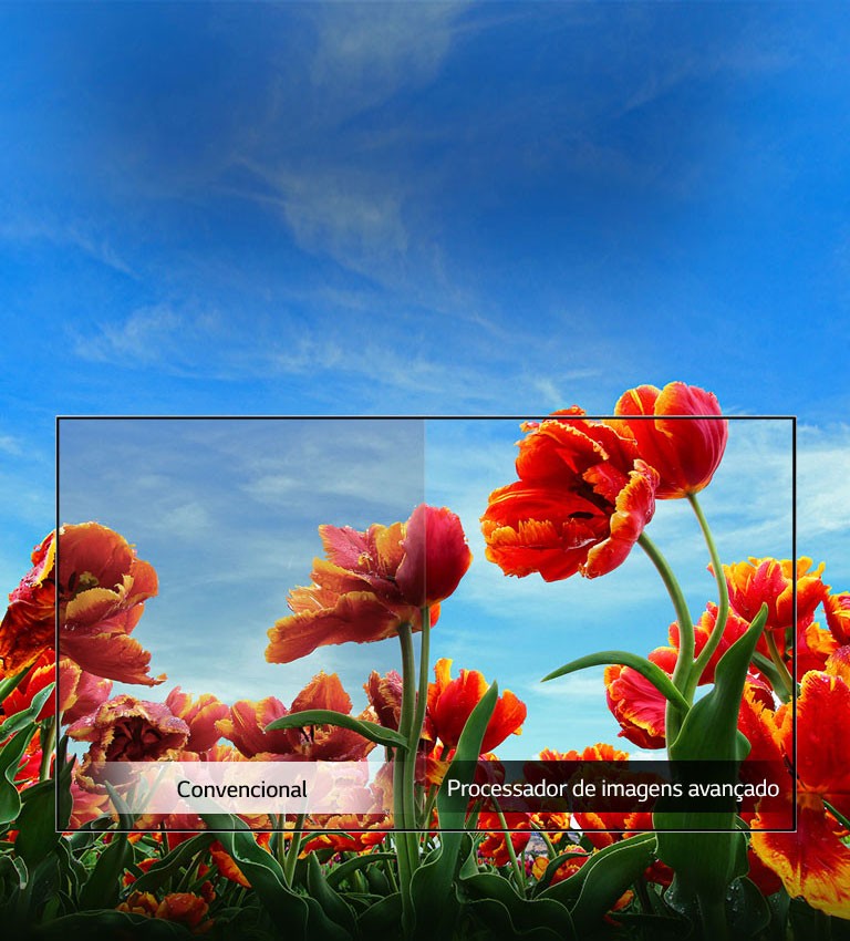 Dynamic Color Enhancer