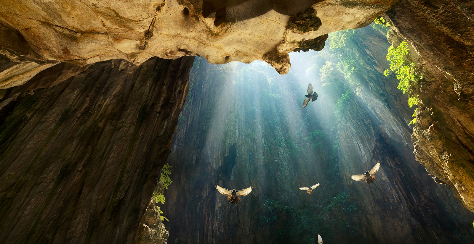 4K Cinema HDR 