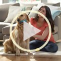 Ideal para quem tem animais de estimação!