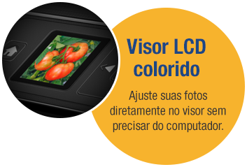 Visor LCD Colorido