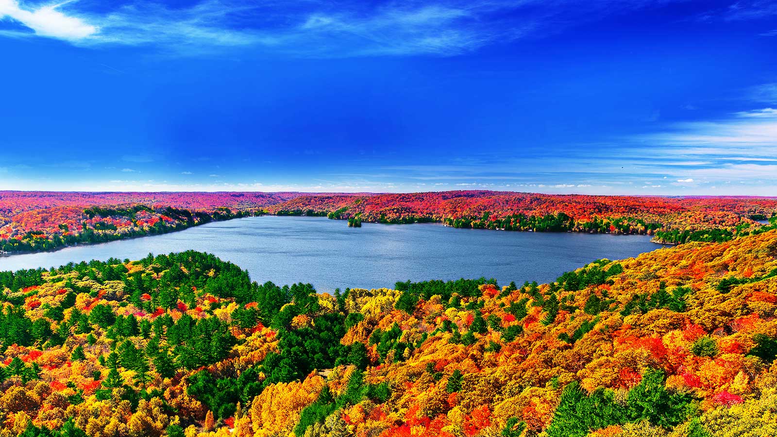 Processador Quad Core: imagens realistas