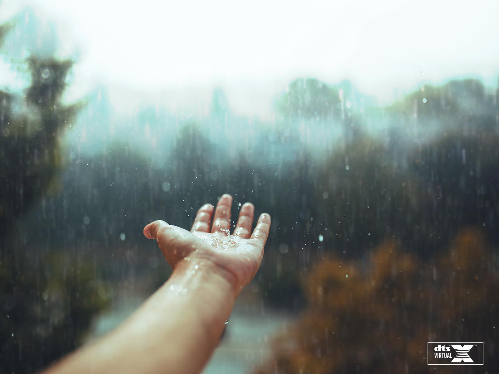 Facilidade com o webOS 4.5