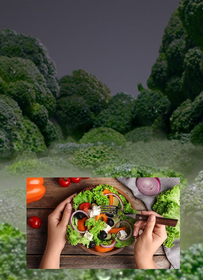 Seus alimentos frescos por muito mais tempo