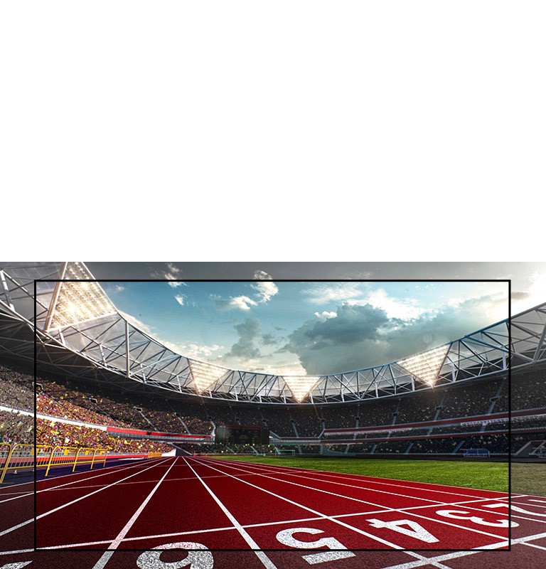 Vibre com a experiência dos esportes