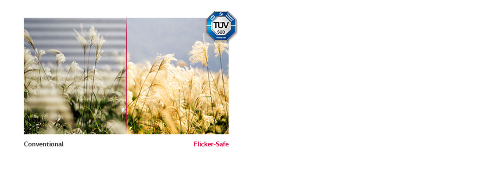 Flicker Safe Flicker Safe