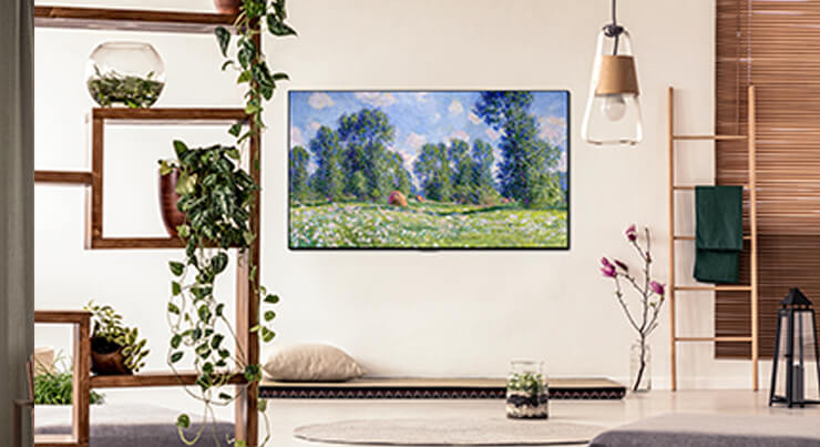 Mais que uma TV. Uma obra-prima na sua parede.