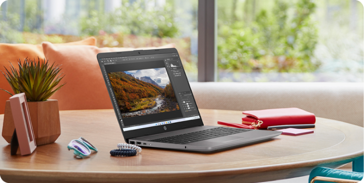 Notebook HP Intel Core i5 8GB 256GB SSD 15,6” - HD Windows 11 256