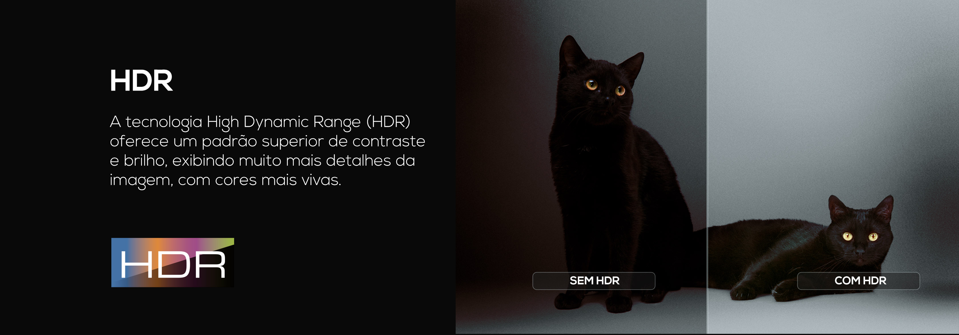 imagem gatos TCL TV S615