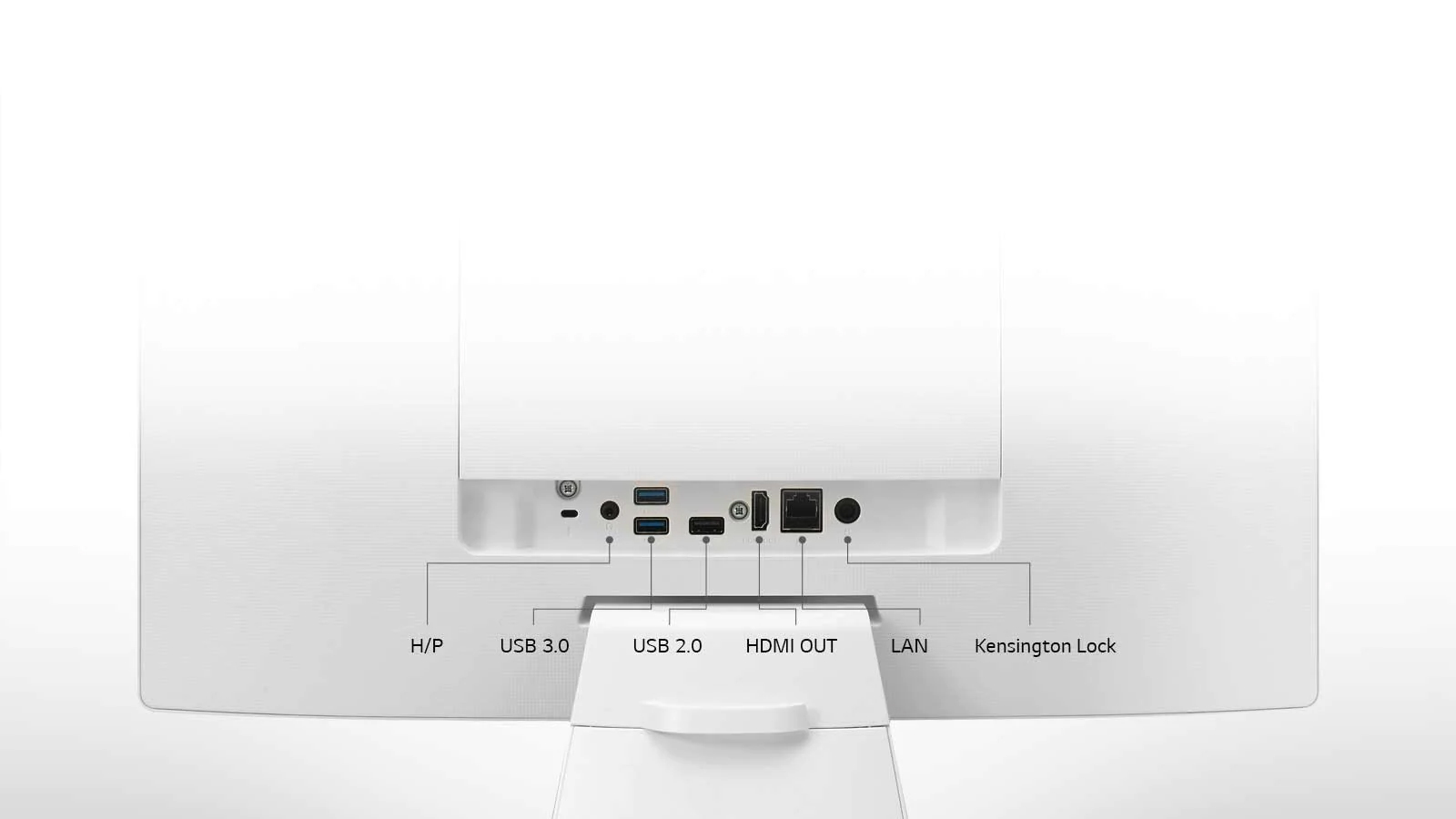 Conectado com seus conteúdos favoritos