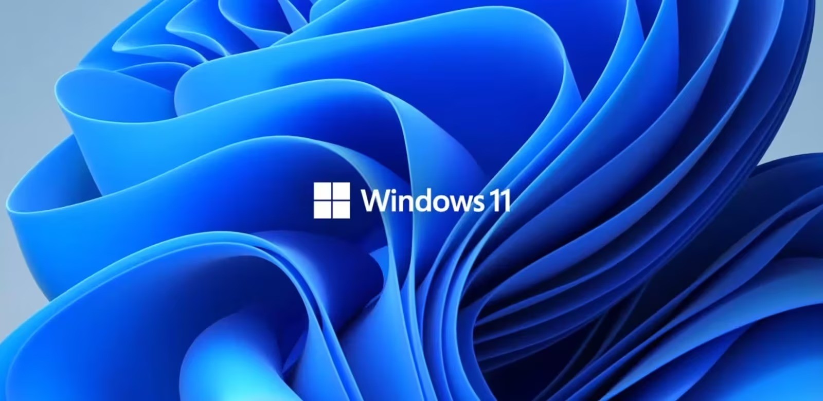 Windows 11