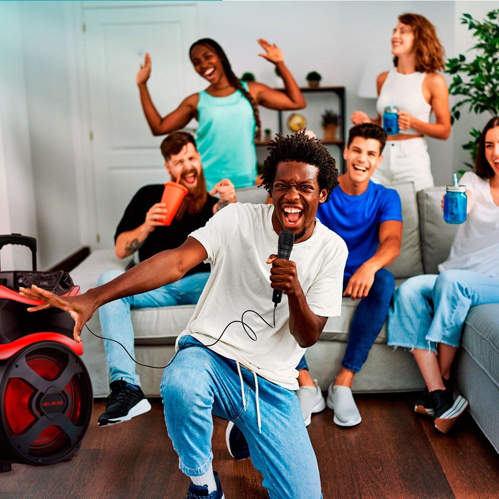 Banner V12 Power Karaoke