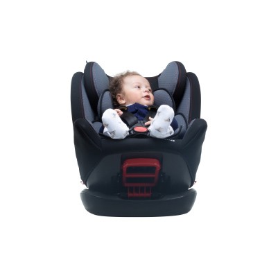 Acompanha o crescimento